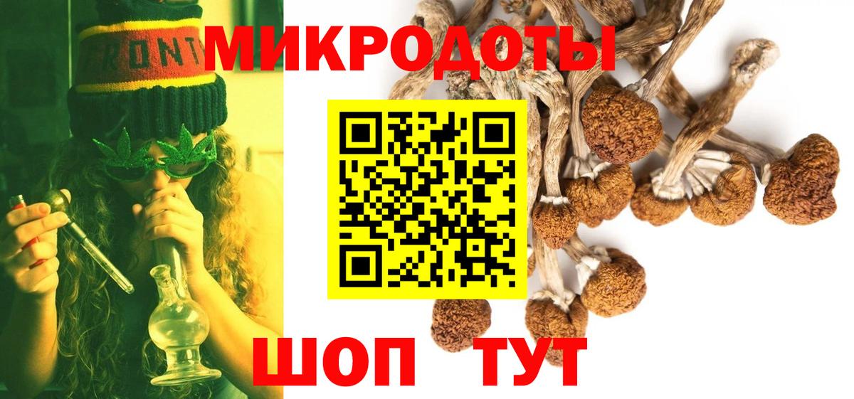 Псилоцибиновые грибы Psilocybe  Вход с VPN  Обнинск 